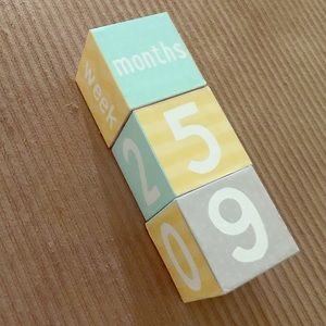 BABY monthly milestone blocks